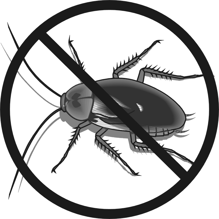 Pest Control Services